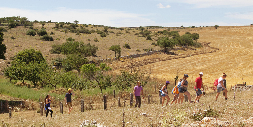 Trekking sull_Alta Murgia_ph Vincenzo Pioggia.jpg