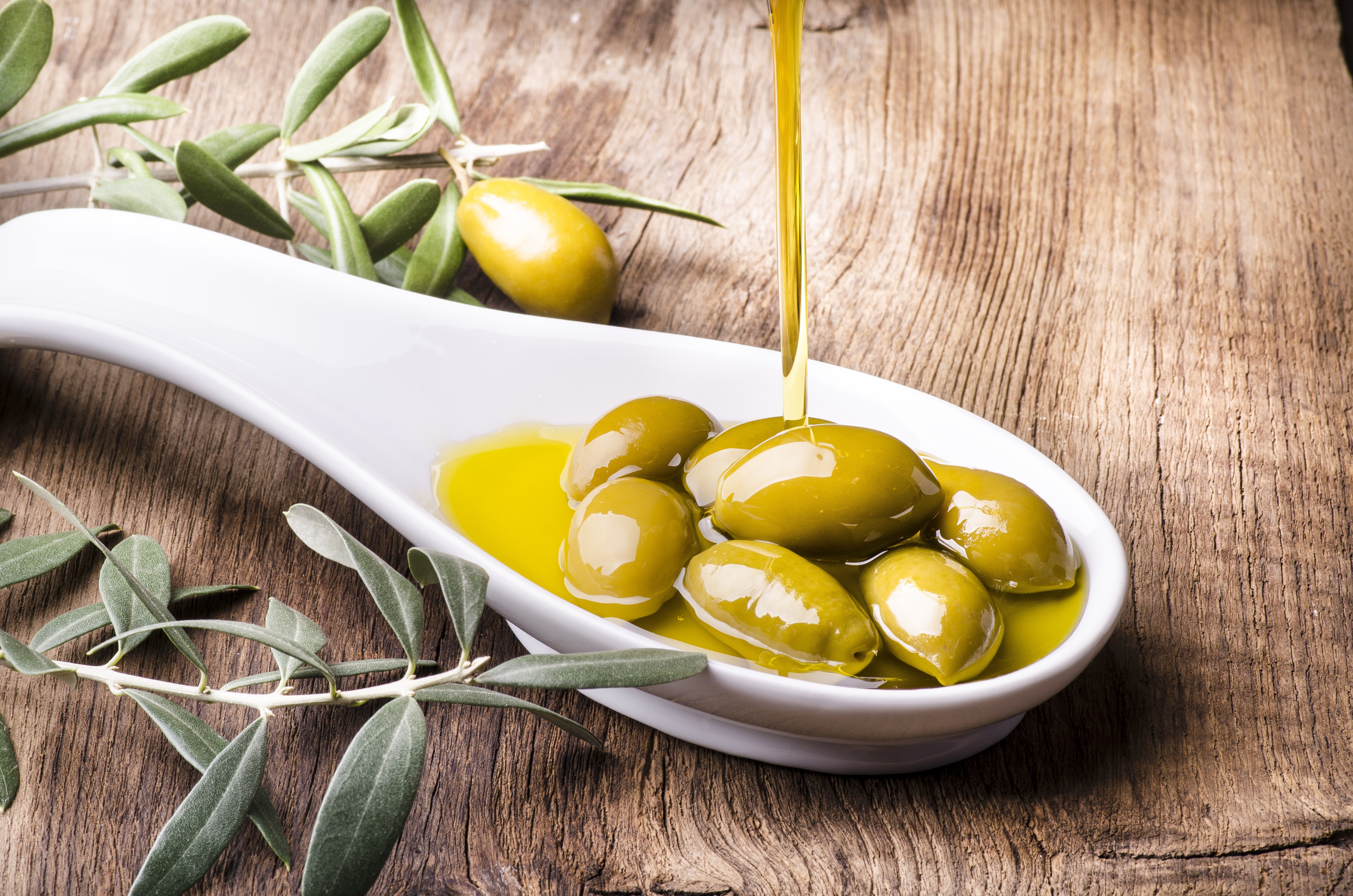 Olio_240619.jpg Olio_240619.jpg