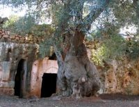patrimonio_rupestre.jpg patrimonio_rupestre.jpg