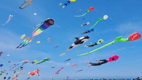 Margherita di Savoia, tutto pronto per il Festival Internazionale dell’Aquilone 2026 Margherita di Savoia, tutto pronto per il Festival Internazionale dell’Aquilone 2026