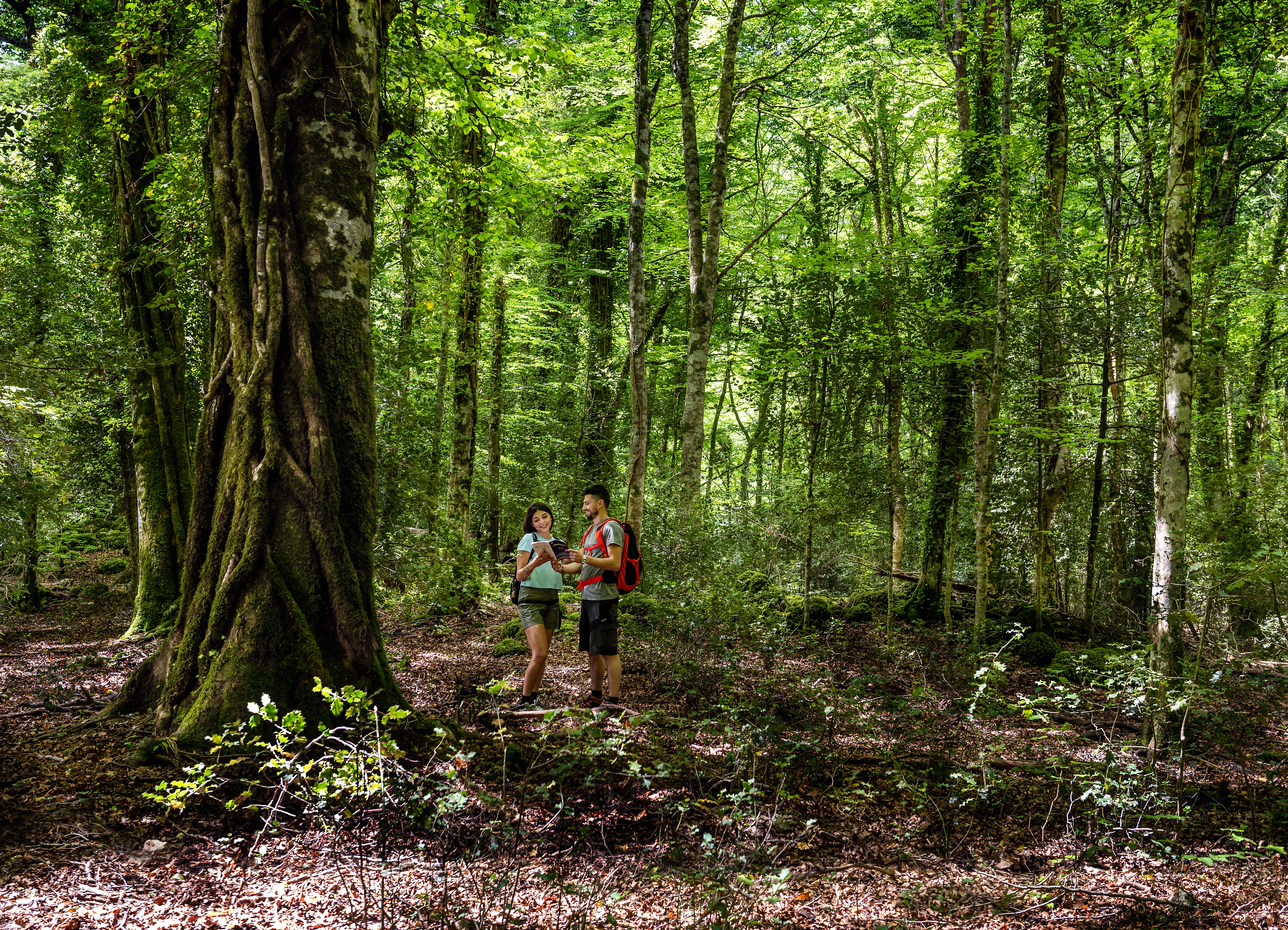 Fa’ La Cosa Giusta 2026, la Puglia alla fiera nazionale del turismo sostenibile e del consumo critico